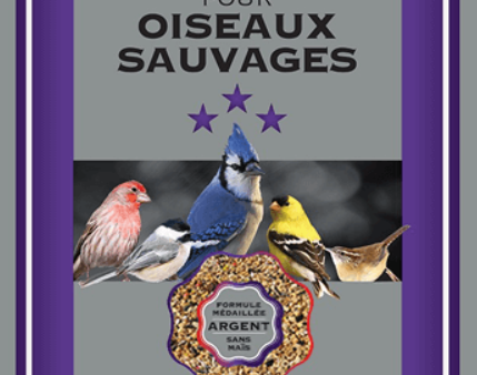 Oiseaux sauvages (Argent) on Sale