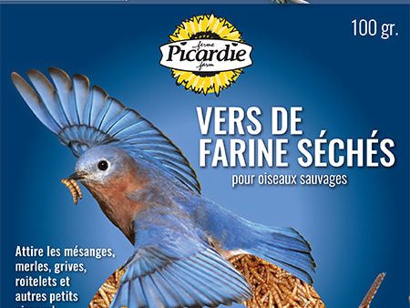 PICARDIE VERS DE FARINE 300GR Online now