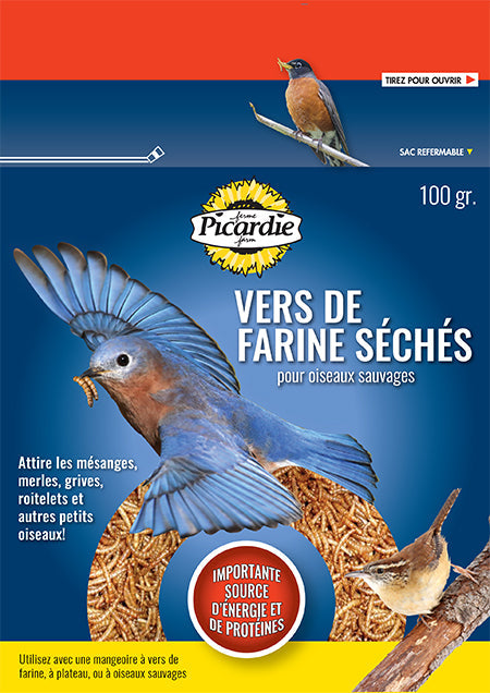 PICARDIE VERS DE FARINE 300GR Online now