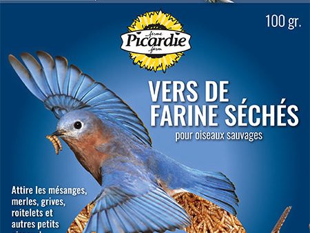 PICARDIE VERS DE FARINE 100GR Hot on Sale