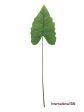 36.5  Real Touch Philodendron Leaf  ( INT0012-S ) For Cheap