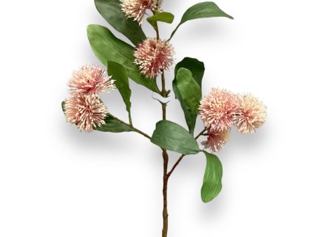 29  Chinese Sweet Gum Blossom Spray ( FSB135-Pink Cream ) For Sale