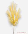 46” Silk Pampas Grass Spray ( SS801-#35 New Beige ) Sale