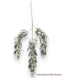 43   Willow Leaves Spray ( INT8060-Frosted Green ) Hot on Sale