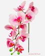 30  Real Touch Phalaenopsis Spray ( FSO173-PK RB ) Discount