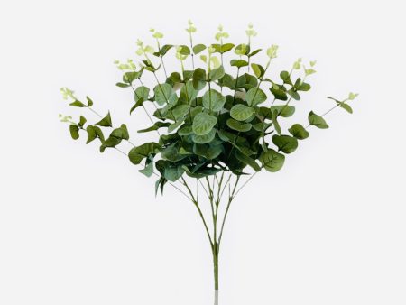 19   EUCALYPTUS  BUSH ( B1604-Green ) Cheap