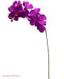 37  Real Touch Phalaenopsis Spray ( FO7195-PU ) Supply