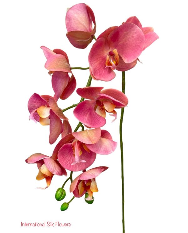 30  Real Touch Phalaenopsis Spray ( FSO173-LL ) For Discount