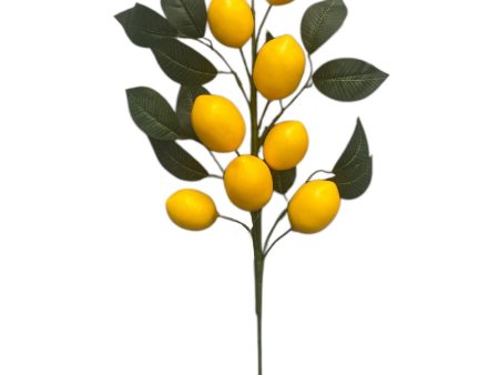 26   Lemon Branch ( F6Y108-Yellow ) Online Hot Sale