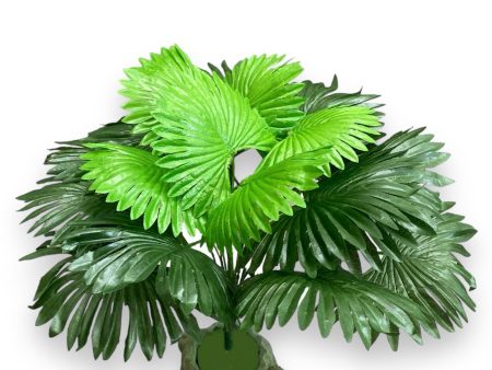 13.5   LARGE FAN PALM BUSH ( GB30 ) Online Sale