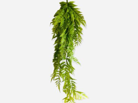 50   UV SOFT PE BOSTON FERN HG BUSH ( PBF330-GR ) Discount