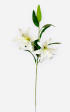 37   Real Touch Easter Lily Spray ( INT1709-Cream ) Hot on Sale