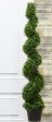 5’ Faux Knock-Down Pond Boxwood Spiral Topiary ( LPB715-GR ) Fashion