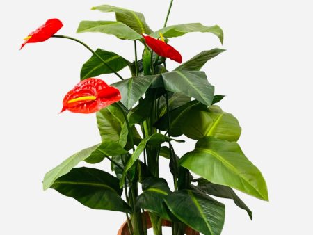 4  Real Touch Anthurium ( INT6270 ) Discount