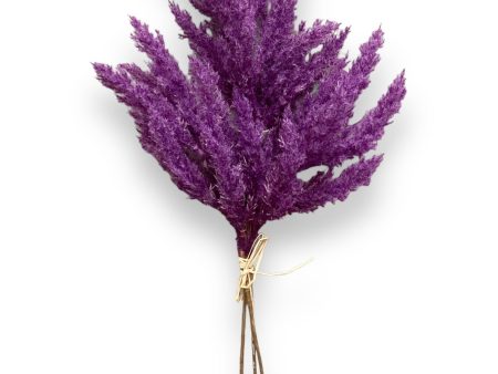 18  Pampas Grass Bundle ( FBP572-Purple ) Discount