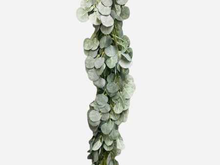 6.80  FROSTED SILVER DOLLAR EUCALYPTUS ( 84003-FRT ) Online