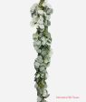 6.80  FROSTED SILVER DOLLAR EUCALYPTUS ( 84003-FRT ) Online