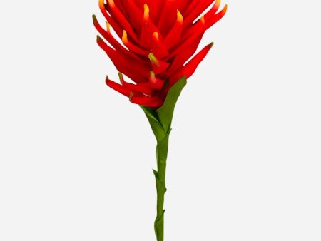 36   Protea Spray ( HSP325-RE OR ) Sale