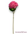 26   Single Hydrangea ( INT1018- Fuchsia ) Fashion