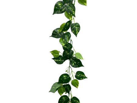 6  Pothos Leaf Garland ( INT104 ) Hot on Sale