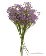 24” Faux Plastic Baby’s Breath ( SS999-Lavender ) INT999 For Discount