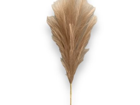 36   Pampas Grass ( LW12-Light Beige ) on Sale