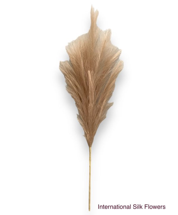 36   Pampas Grass ( LW12-Light Beige ) on Sale