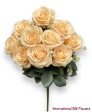 17   Open Rose Bush ( INT663-Beige ) Discount