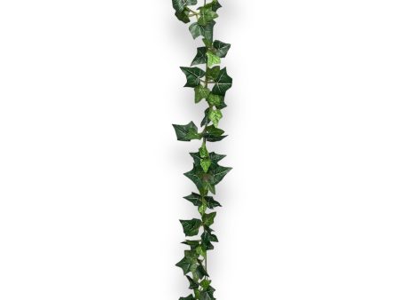 6  English IVY Garland ( INT573 ) Supply