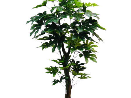 6.5’ Faux Real Touch Star Tree ( INT0710 ) For Cheap