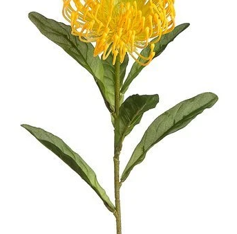 26  Open Needle Protea Spray ( FSP752-Yellow ) Online now