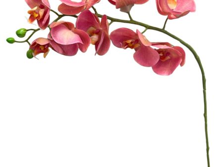 30  Real Touch Phalaenopsis Spray ( FSO173-LL ) For Discount