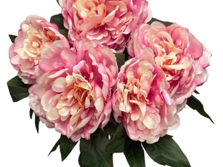 17   Silk Peony Bush ( FBP791-Pink ) For Discount