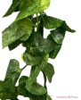 9  Silk Chain Grape Ivy Vine ( CG02 ) Sale