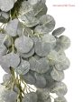 6.80  FROSTED SILVER DOLLAR EUCALYPTUS ( 84003-FRT ) Online