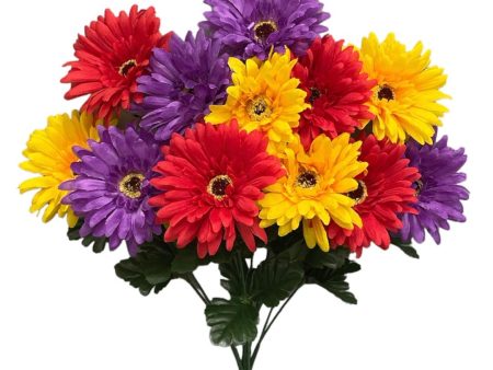 18   Gerber Daisy Bush ( 30550-PUYWRD ) on Sale