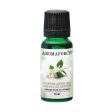 Jamine absolute 2% oil Blend, 15ml For Sale