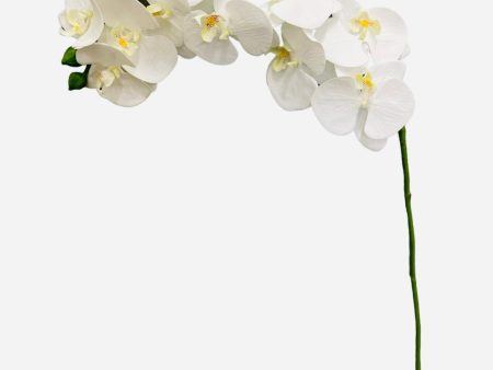 37  Real Touch Phalaenopsis Spray ( FO7195-CR ) Online Sale