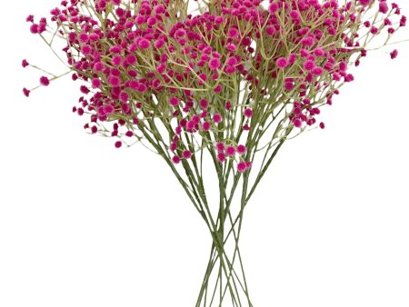 24” Faux Plastic Baby’s Breath ( SS999-Fushia ) INT999 Hot on Sale