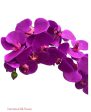 37  Real Touch Phalaenopsis Spray ( FO7195-PU ) Supply