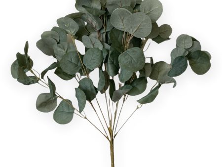 22   EUCALYPTUS BUSH  ( AR7191 ) For Cheap