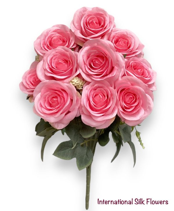 17   Open Rose Bush ( INT663-Cream Pink ) For Cheap