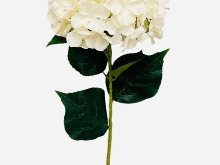 33  Silk Single Stem Hydrangea ( INT8003-Beige ) Discount