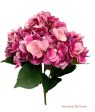 20   Real Touch Hydrangea Bush ( INT002-#9Beauty )( J05013 ) Supply