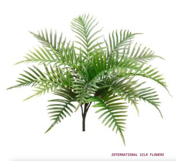 26   ARECA PALM BUSH ( PPP312GR ) Sale