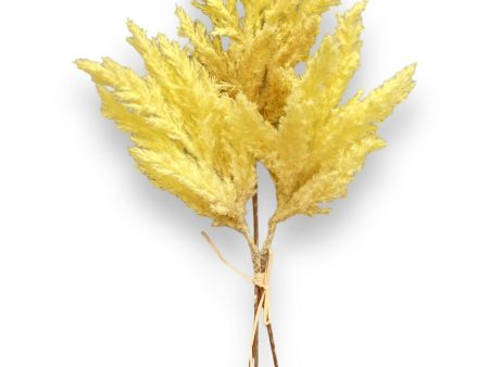 18  Pampas Grass Bundle ( FBP572-Yellow ) For Discount