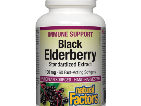 Black Elderberry Standardized Extract 100 mg on Sale