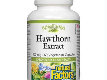 Hawthorn Extract  300 mg Vegetarian Capsules For Cheap