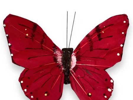 4   Butterfly ( PRBF5147-Fuchsia ) Fashion