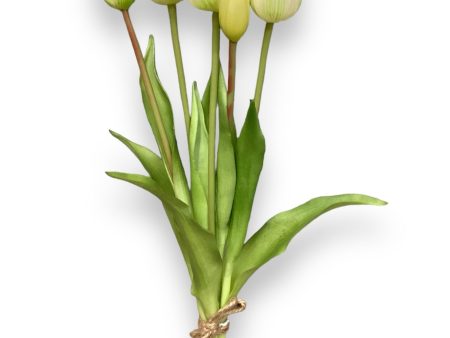 16  Real Touch Tulip Bundle 9 ( FBT004-Cream Green ) For Cheap